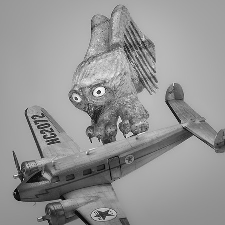 Bird strike